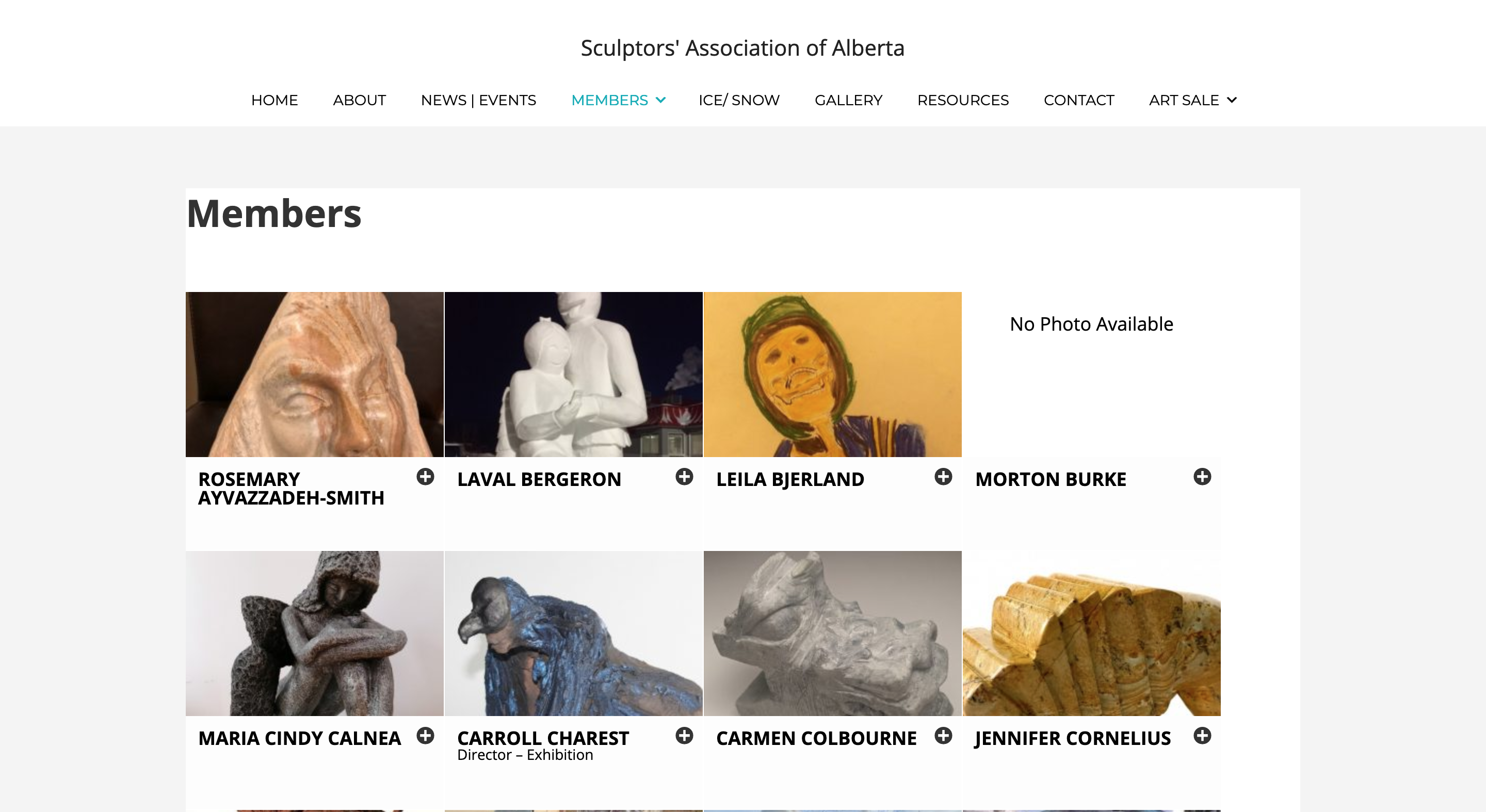Image of the SAA Member Gallery that I created.